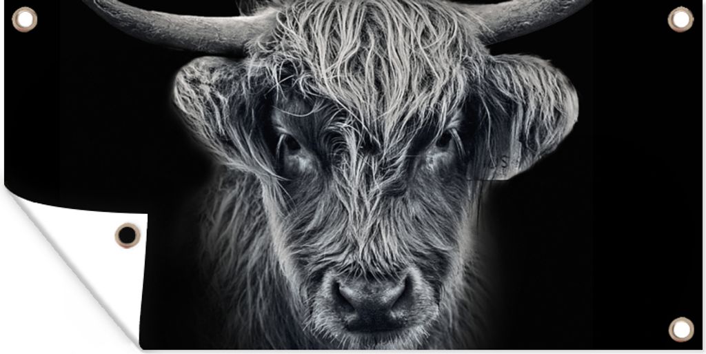 MuchoWow 80x40 cm Outdoor-Poster Gartendeko Sichtschutz Garten Poster für den Garten Schottischer Highlander - Schwarz - Kuh - Tiere