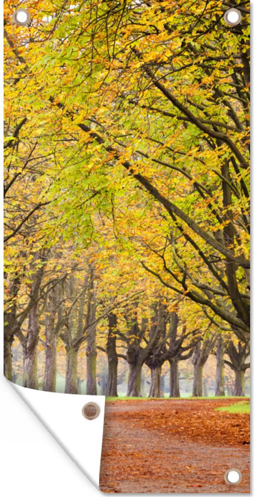 MuchoWow 30x60 cm Outdoor-Poster Gartendeko Sichtschutz Garten Poster für den Garten Kastanienbäume im Herbst