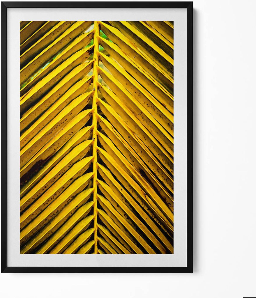 Goldene Blätter einer Pflanze– Wandbild mit Rahmen – Gerahmtes Bild – Wanddekoration – 70x100 cm – Schwarz Rahmen