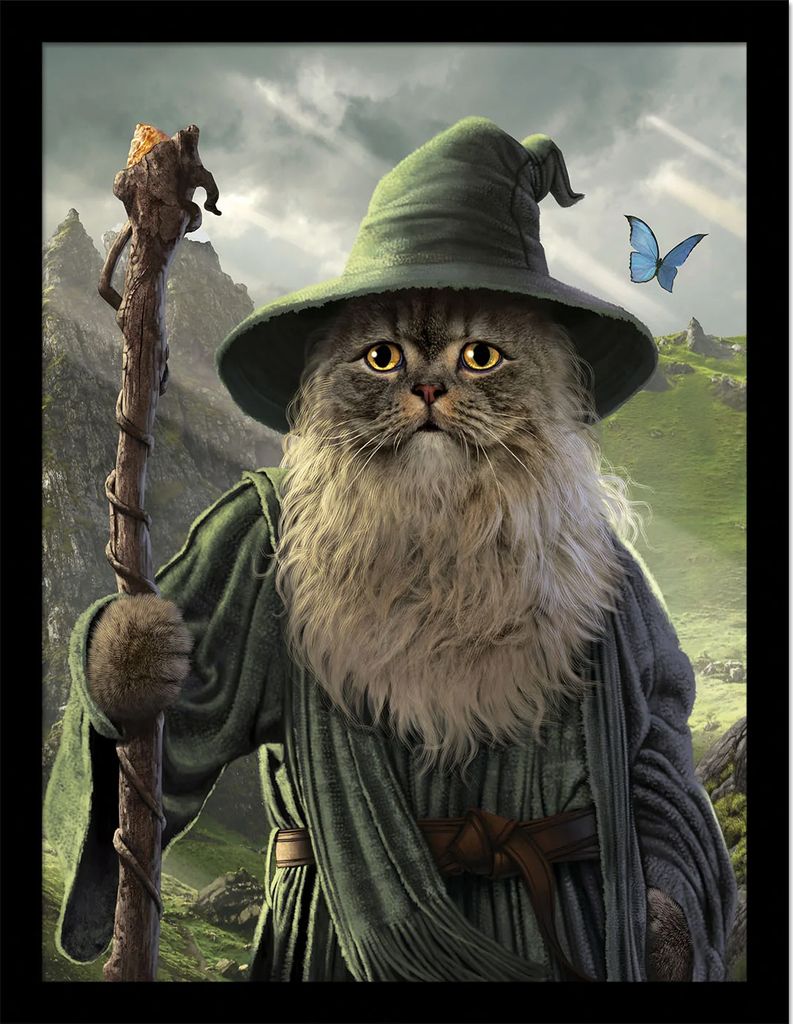 Vincent Hie - Gerahmtes Poster "Catdalf" PM8029 (30 cm x 40 cm) (Grün/Grau)