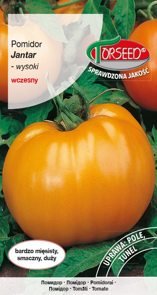 Samen von Jantar große Tomate 0.2g - Torseed Produktbild 