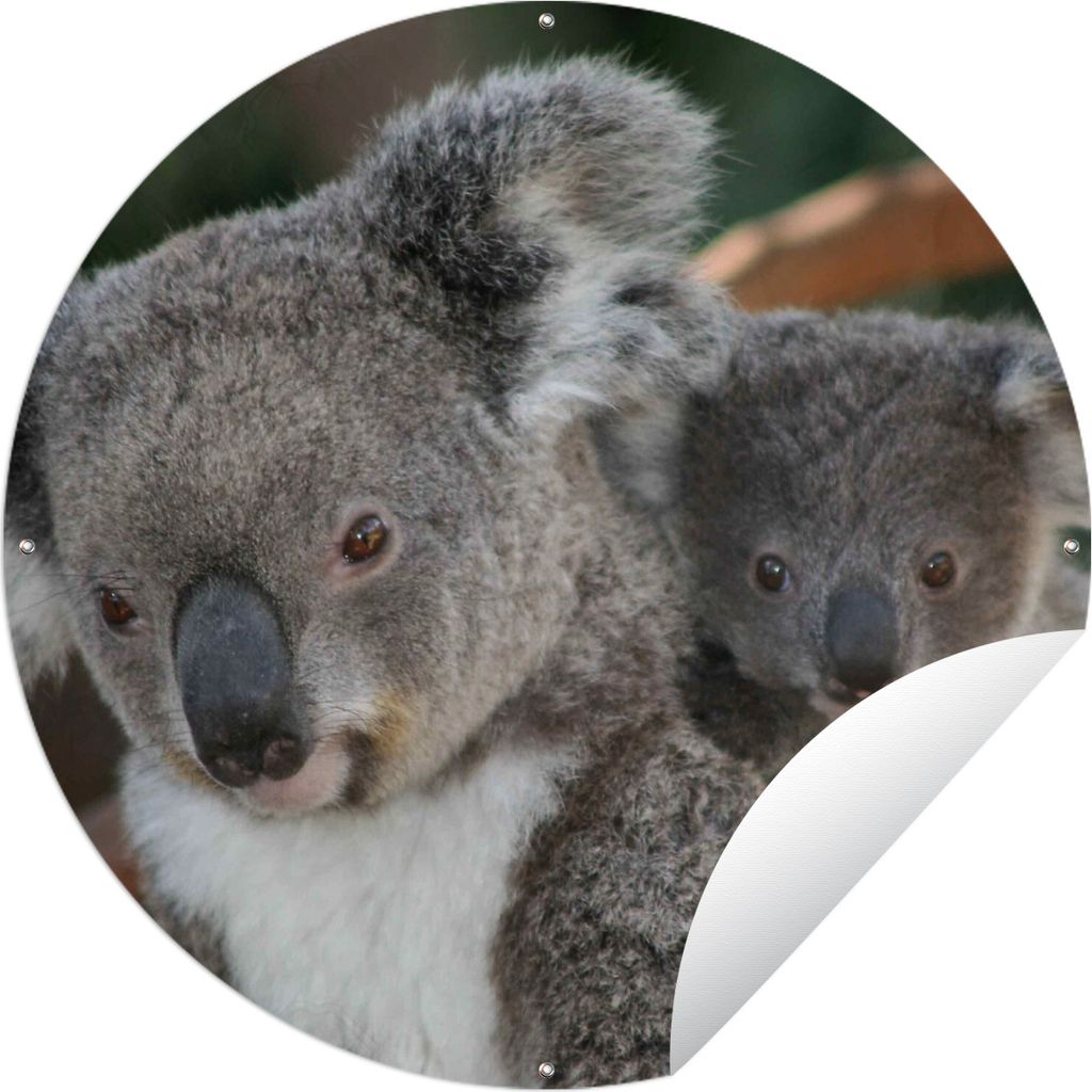 MuchoWow Gartenposter Outdoor-Poster Rund Koalas - Vater - Sohn - Jungen - Mädchen Ø 90 cm Gartendeko Rundes Poster draußen