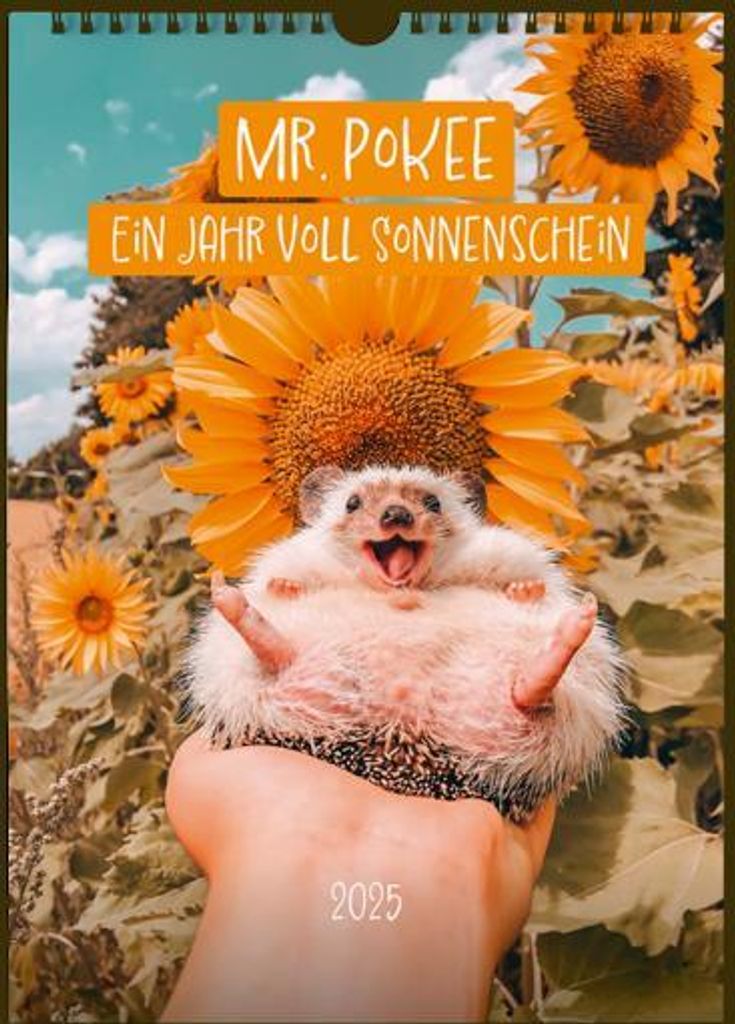 Mr.Pokee - Ein Jahr voll Sonnenschein