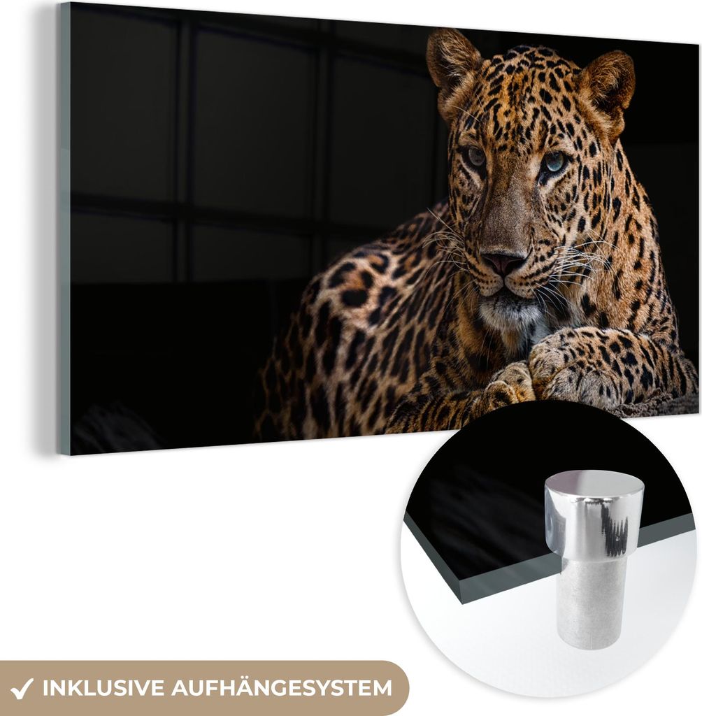 MuchoWow Glasbilder - Bilder auf Wandbild - Foto auf Glas Wildtiere - Panther - Porträt - Schwarz - Tiere 40x20 cm Wanddekoration aus Glas - Acryl...