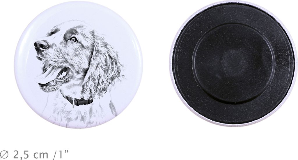English Springer Spaniel Magnet mit einem Hundepfotenabdruck, außergewöhnlich leicht, starker Magnet, handgefertigtes Produkt der Marke Art-Dog