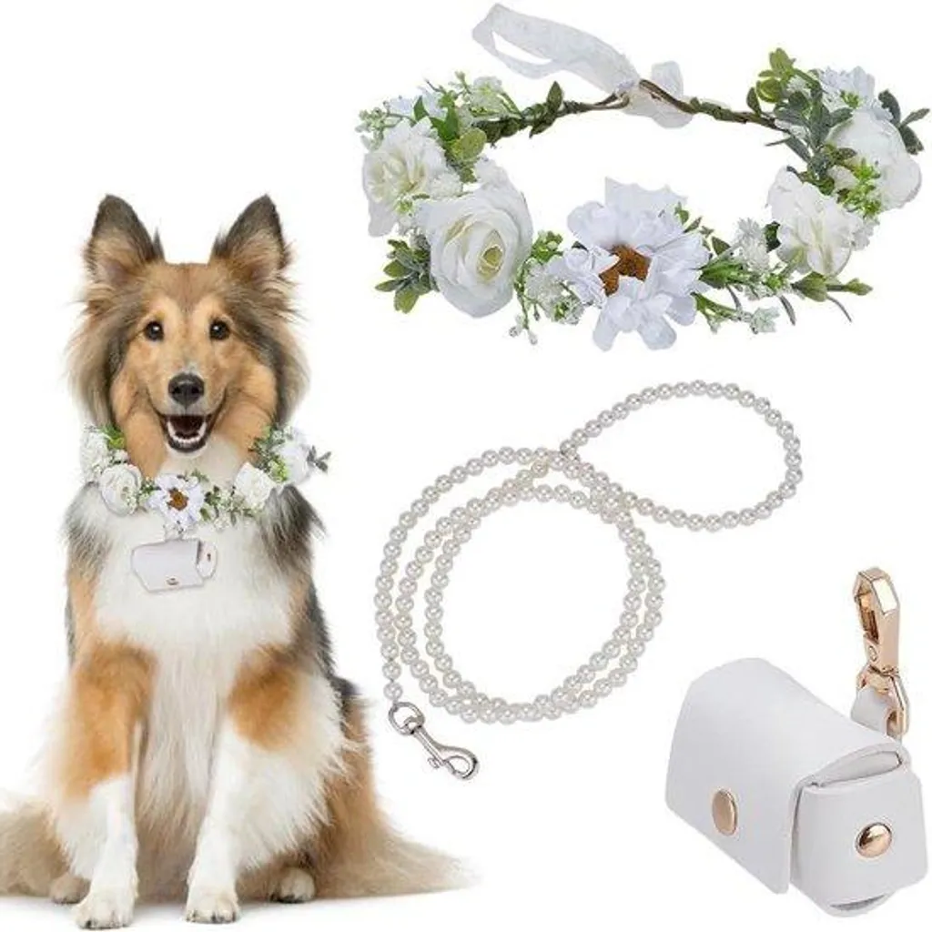 Accessoire photo mariage pour chien : collier à fleurs et porte-alliances