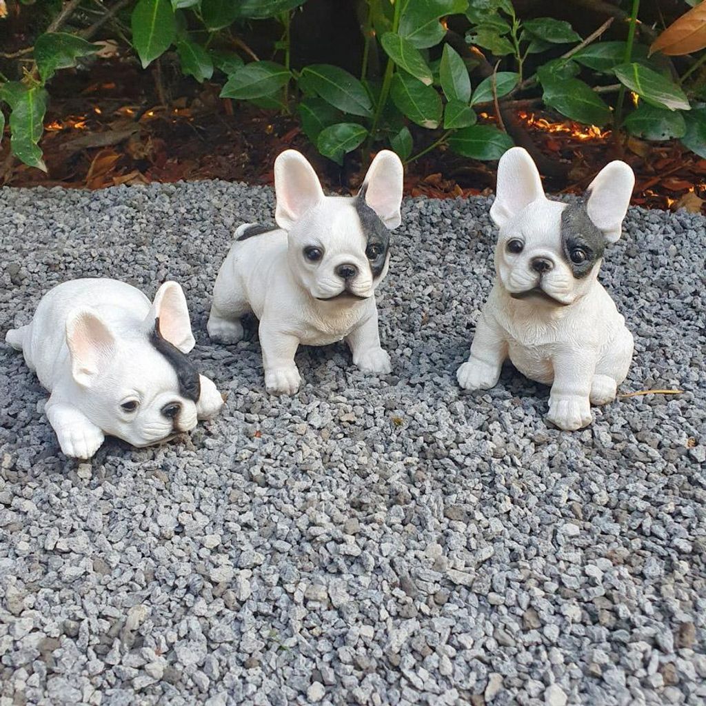 Statua da giardino Bulldog francese cucciolo Set di 3 pezzi Immagine del prodotto 