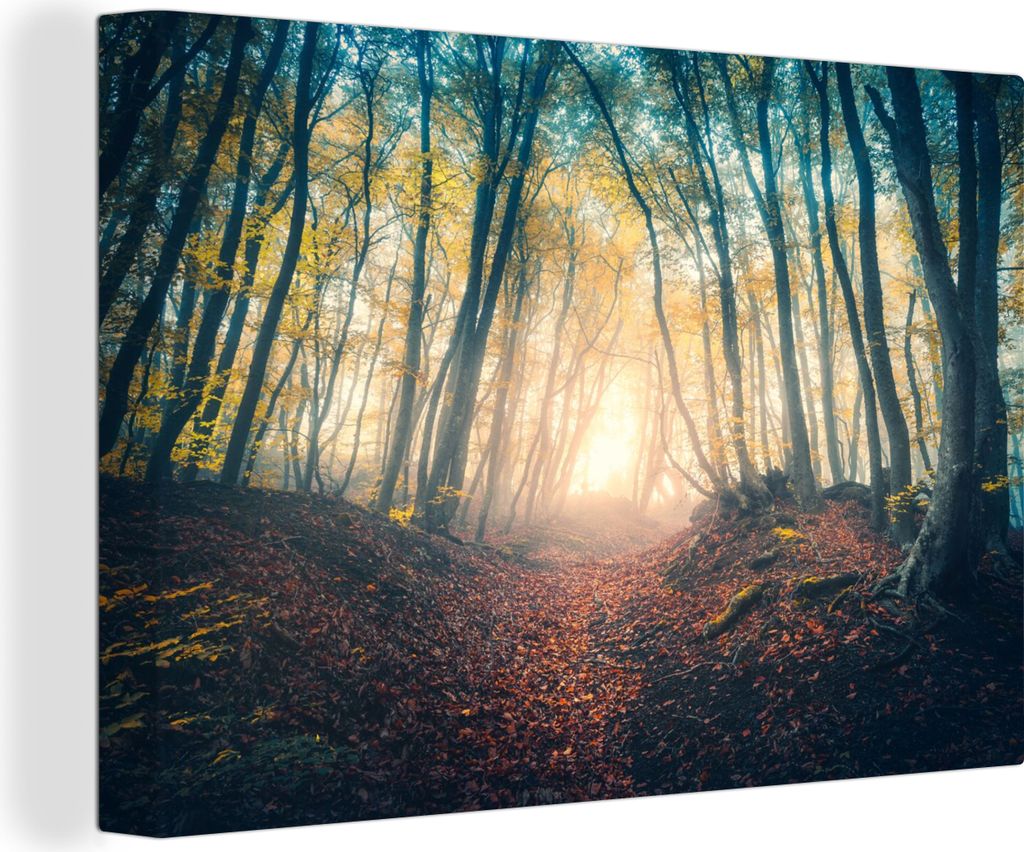 OneMillionCanvasses - Leinwandbilder - 140x90 cm, Wald - Nebel - Sonne - Herbst, Wandbilder Kunstdruck Wanddekoration - Foto auf Leinwand - Gemä...