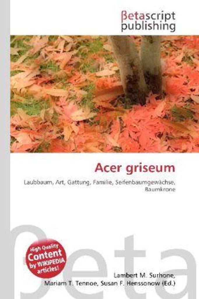 Acer griseum