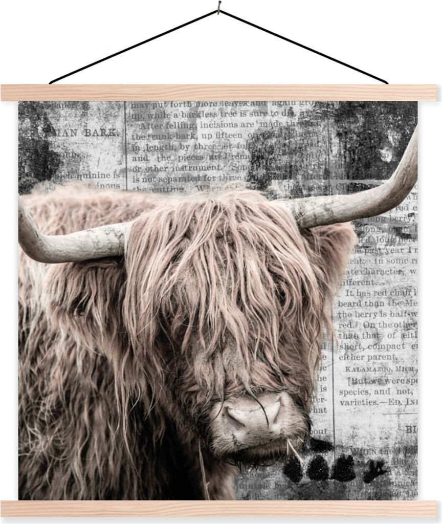 MuchoWow Textilposter Schottisches Hochlandrind - Zeitung - Retro 60x60 cm mit holzfarbenen Rahmen - Wanddekoration