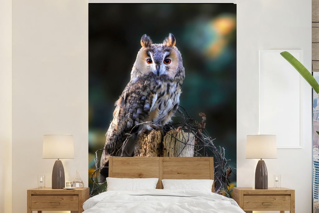 MuchoWow Fototapete für Wohnzimmer oder Schlafzimmer Wandtapete Vinyl Motivtapete Eule - Herbst - Vogel - Äste - 145x220 cm - Wanddekoration