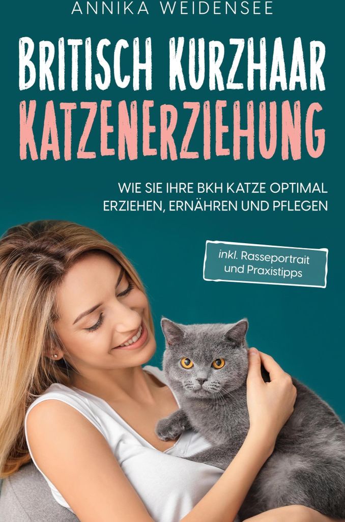 Britisch Kurzhaar Katzenerziehung