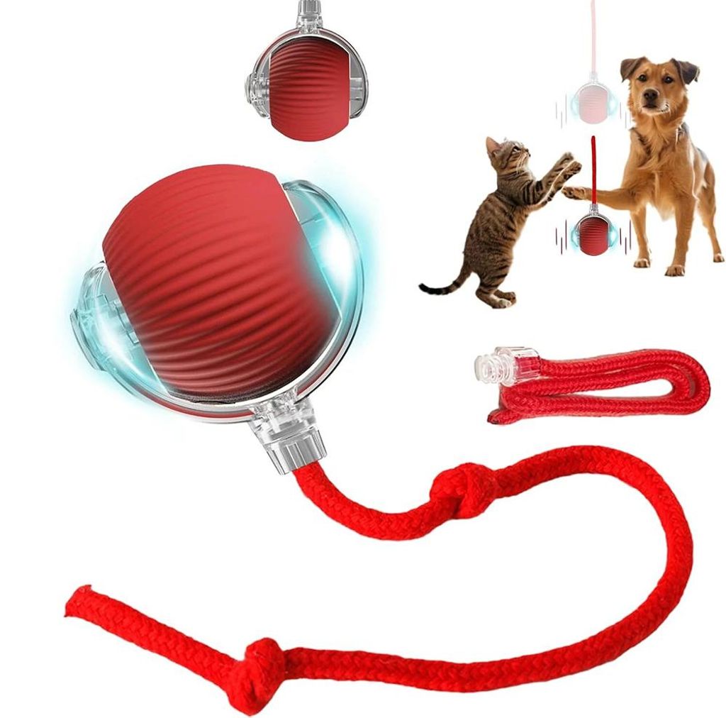 Jouet stimulant pour chiens, Balle de chasse intelligente Image du produit 
