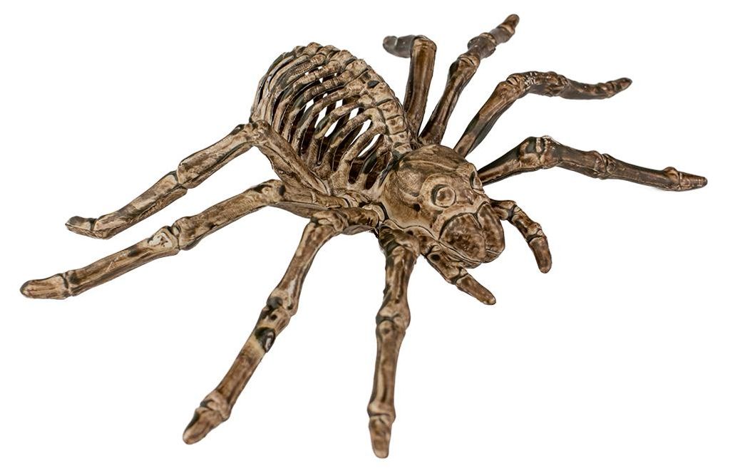 Skelett Spinne als Halloween Dekoration 24cm Produktbild 