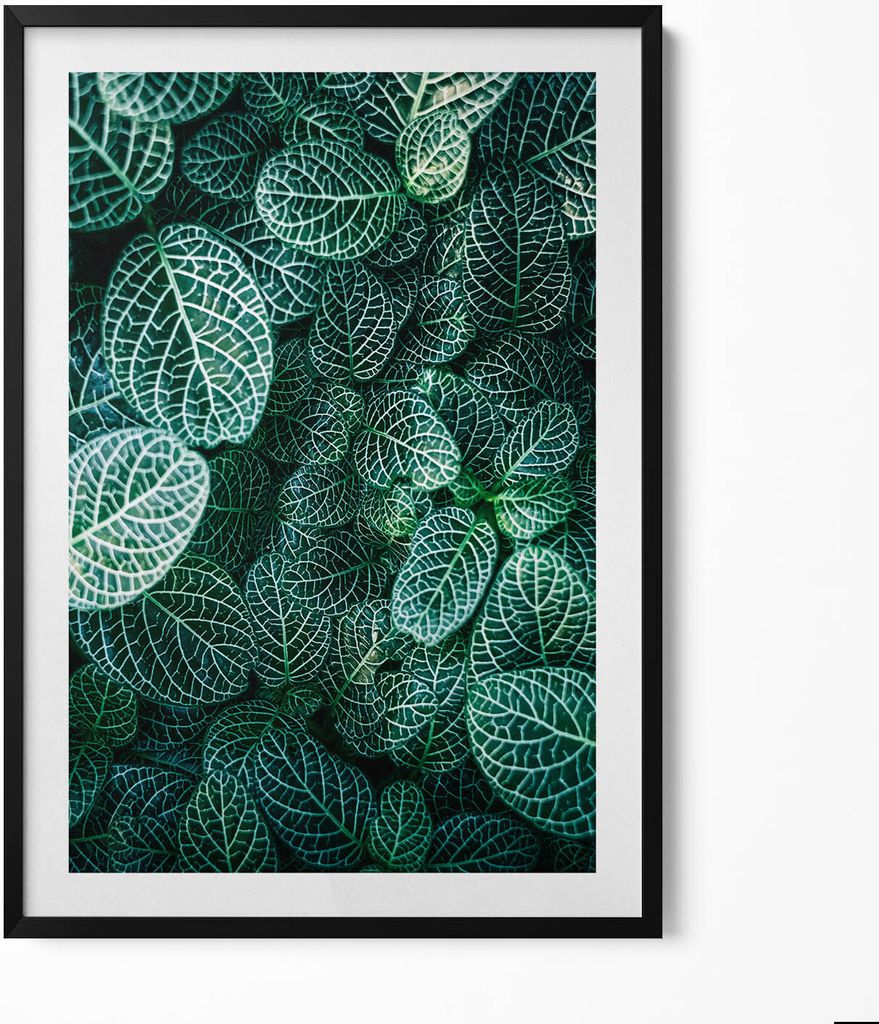 Grüne wilde Blätter– Wandbild mit Rahmen – Gerahmtes Bild – Wanddekoration – 70x100 cm – Schwarz Rahmen