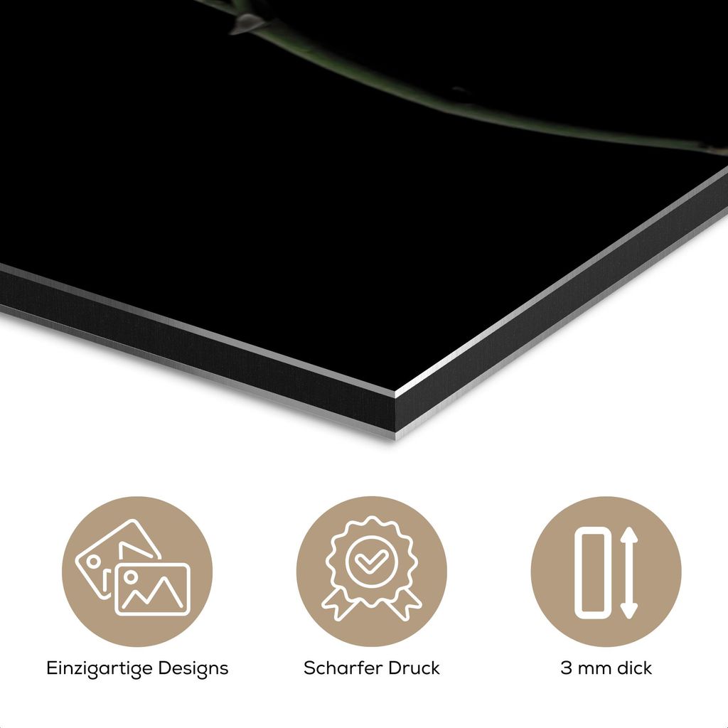 MuchoWow Wanddekoration Metall Metallbild Wandkunst 40x60 cm Orchidee - Blumen - Schwarz - Weiß - Stilleben MuchoWow Aluminium Gemälde - Wanddeko...