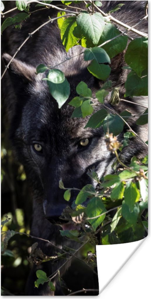 MuchoWow Poster Wolf versteckt sich im Gebüsch 60x120 cm - Wandschmuck