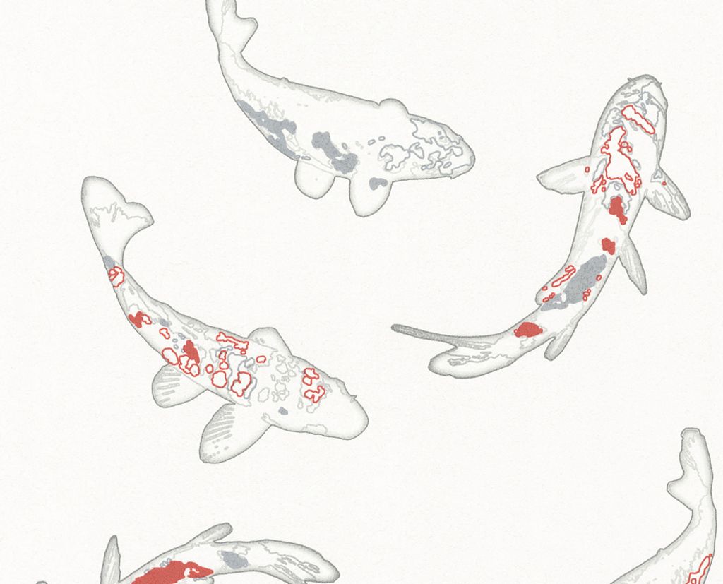 A.S. Création Vliestapete Life Grau Rot Weiß Koi Fische 806048