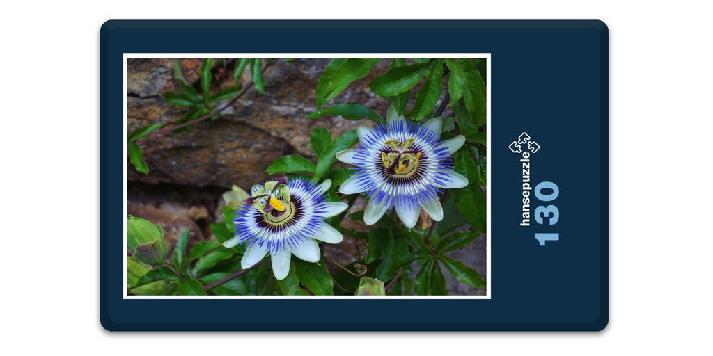 hansepuzzle 18595 - Passionsblume Puzzle, 130 Teile, Natur, 28,7 x 20,0cm mit hochwertiger Aufbewahrung, Kartonbox und wiederverschließbarem Beutel