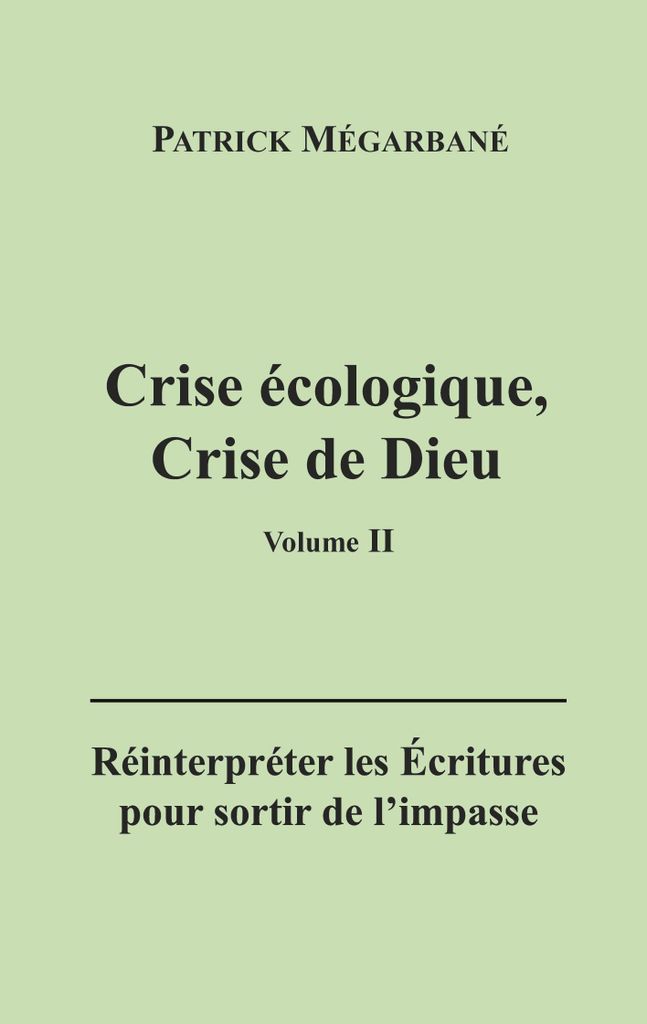 Ökologische Krise, Krise Gottes (II)