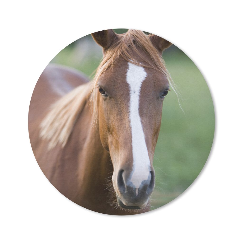 MuchoWow Mauspad Mousepad Pferd - Natur - Porträt 40x40 cm - Mousepads - Maus Mat - Pad - Mausunterlage - Schreibtisch Accessoires