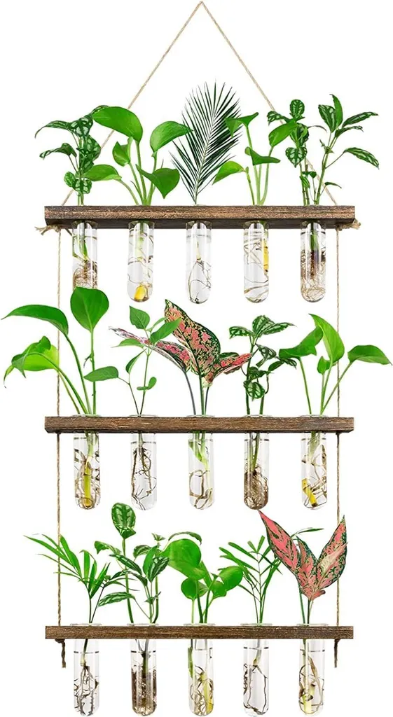Station de Bouturage Murale à 3 Étages en Bois et Verre pour Hydroculture