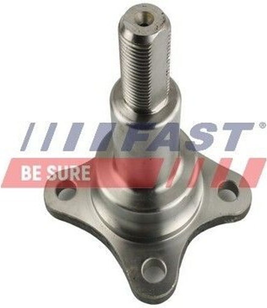 FAST FT23200 - OE 1692064 Achszapfen, Achskörper für Tourneo Custom, Transit Custom, Transit, Transit Tourneo, Transit V363
