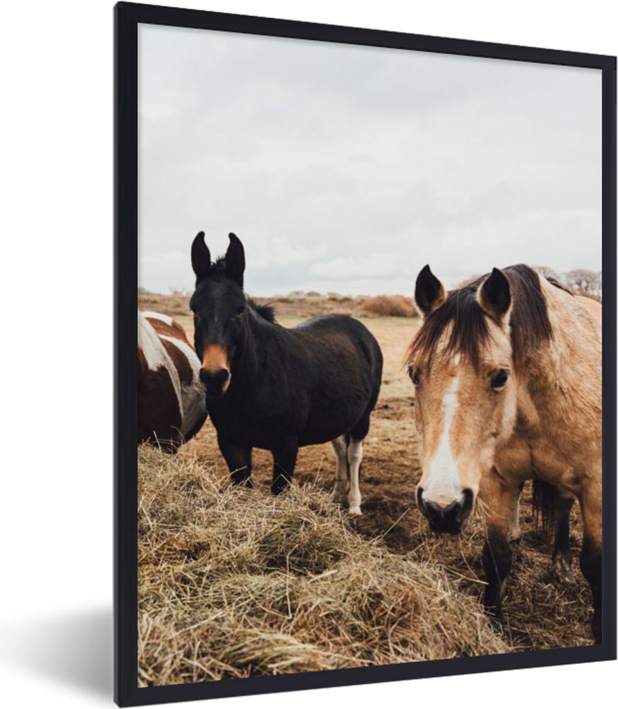 MuchoWow® Gerahmtes Poster Tiere - Pferd 60x80 cm - Poster Produktbild 