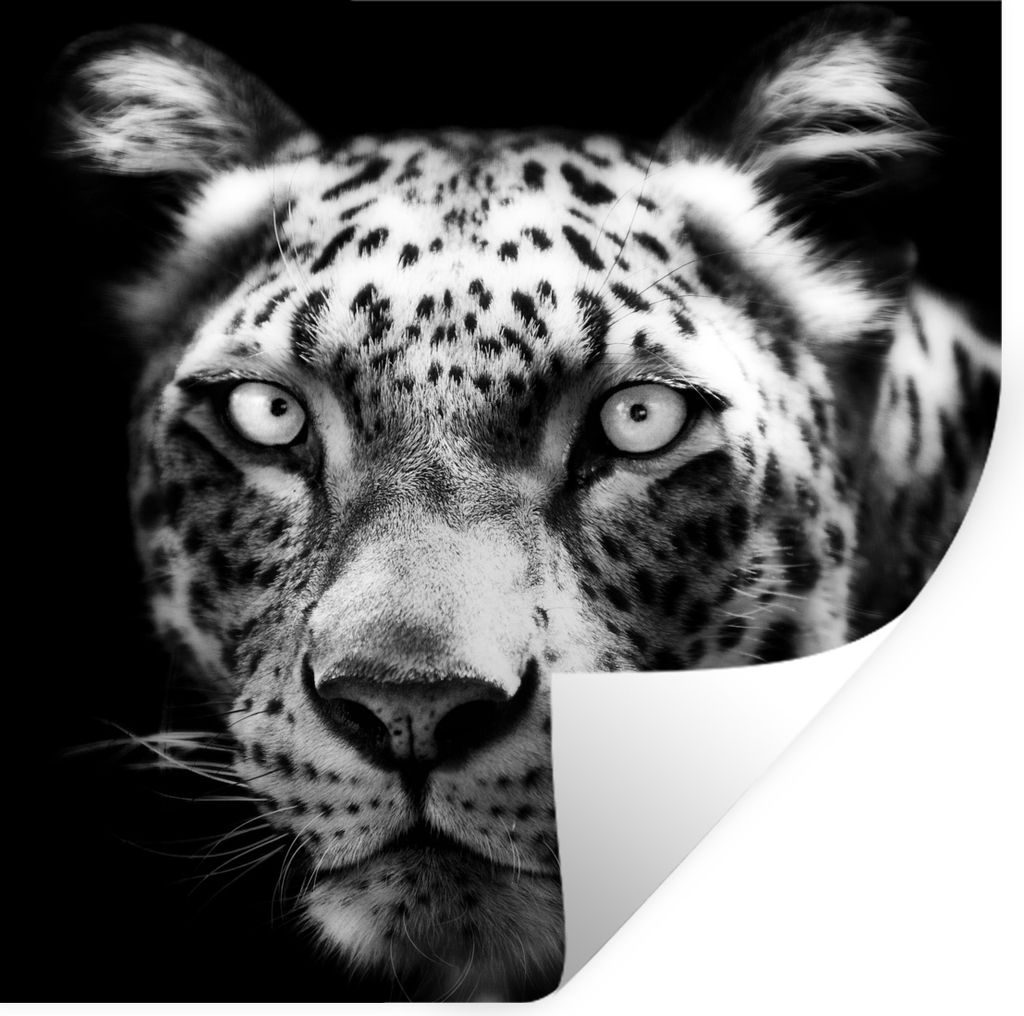 MuchoWow - Wierderverwendbar - Selbstklebend