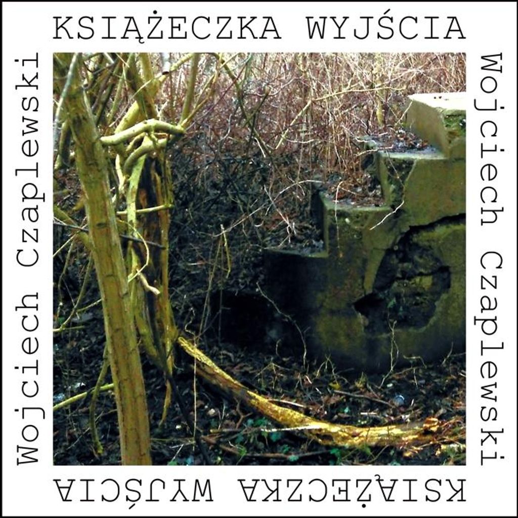 ISBN 978-83-667-5950-3, Polnisch, Taschenbuch, 70 Seiten