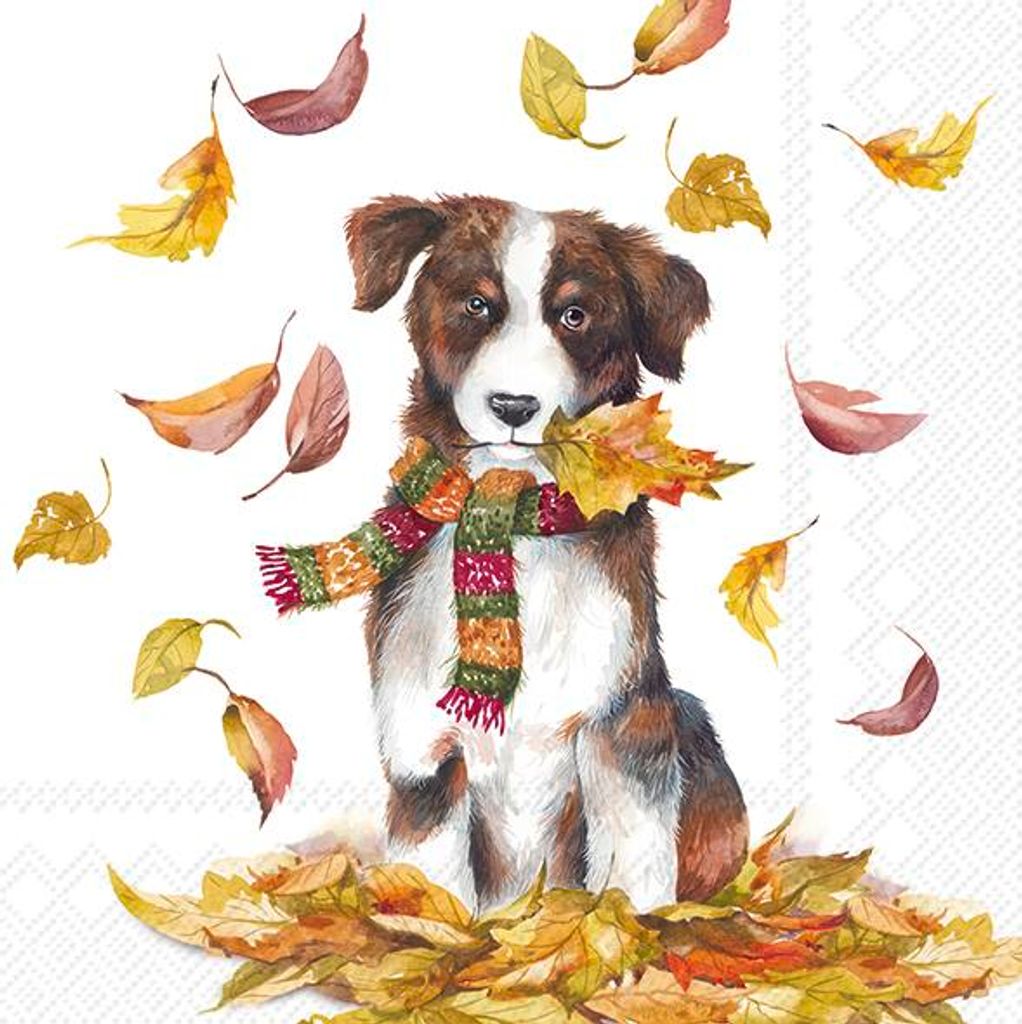 DOG HAVING FUN Lunch-Servietten L1014900