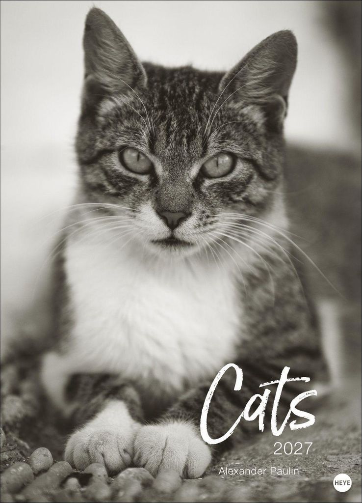 Heye Wandkalender Cats Edition 2027, Schwarz-weiß Fotokunst, 68 x 49 cm