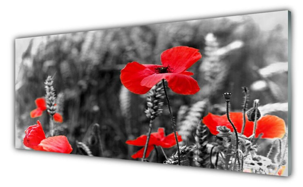 Acrylglasbilder 125x50 Wandbild Druck Mohnblumen Pflanzen