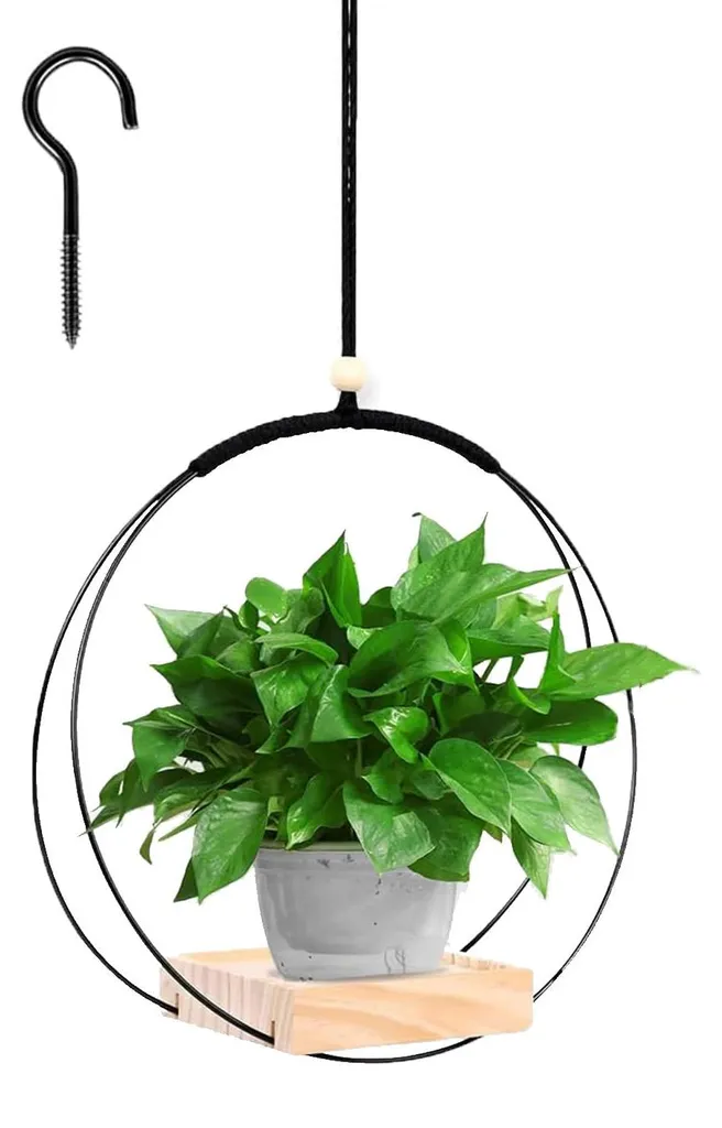 Jardinière suspendue 30cm : gagnez de la place pour vos plantes