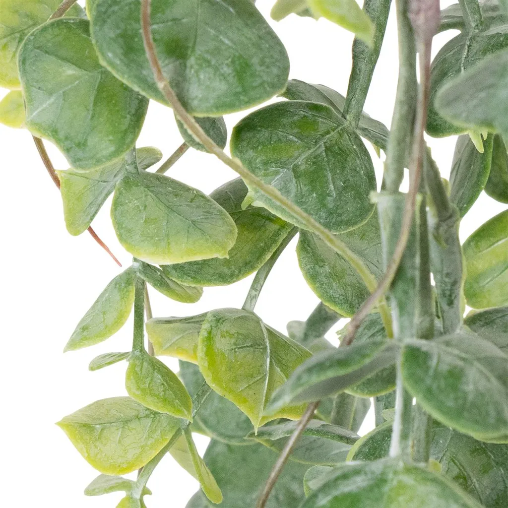 Guirlande artificielle eucalyptus 2m pour décoration murale et table - 5