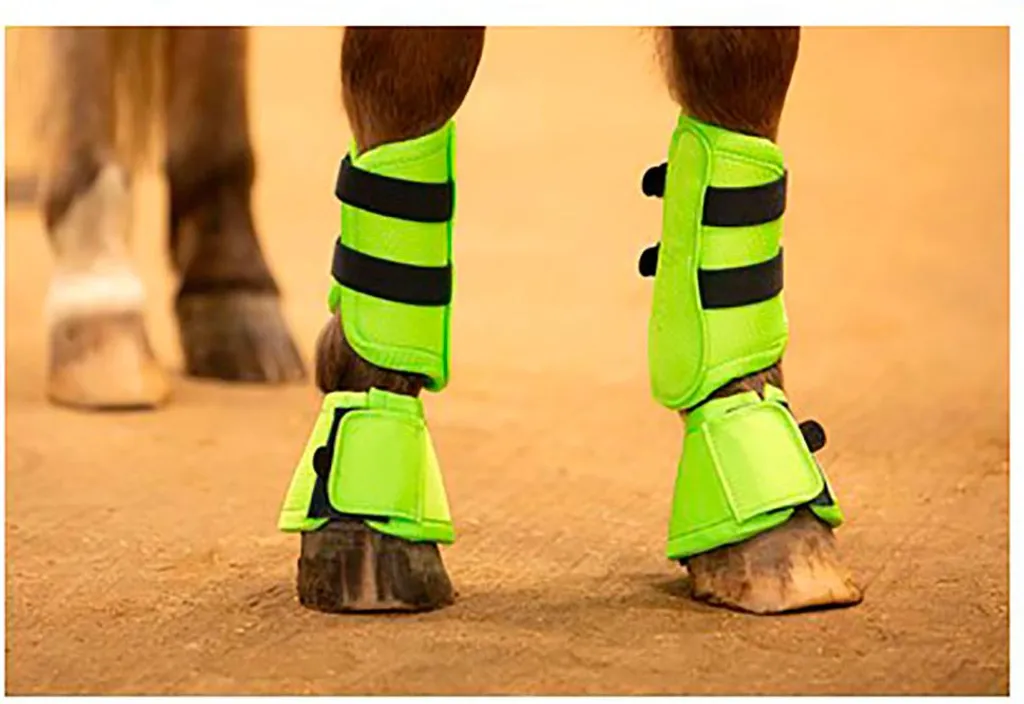 Harry's Horse Stout Sabots Lime pour Poney Shetland et Miniatures