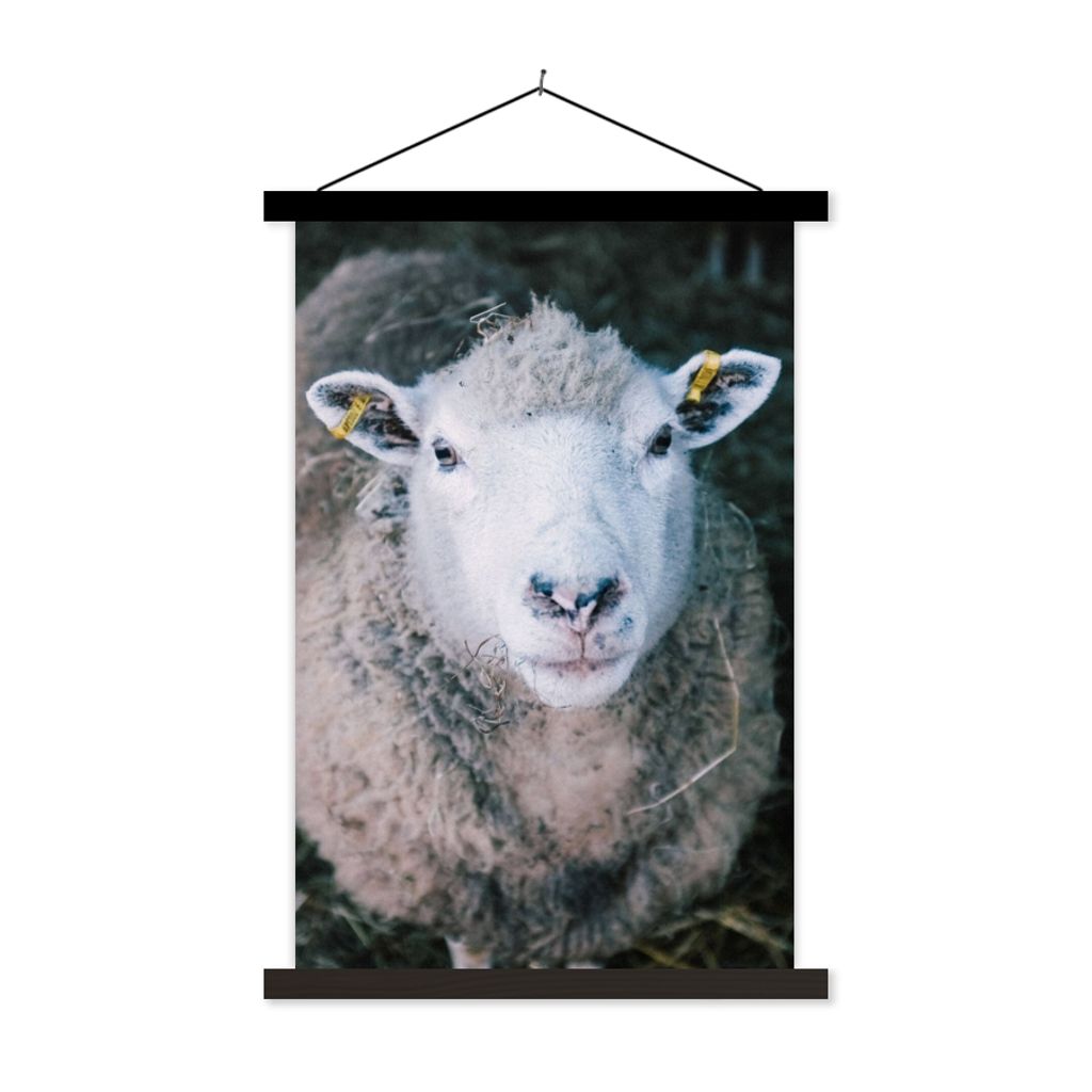 MuchoWow Textilposter Schafe - Tiere - Rinder 120x180 cm mit schwarzem Rahmen - Fotos