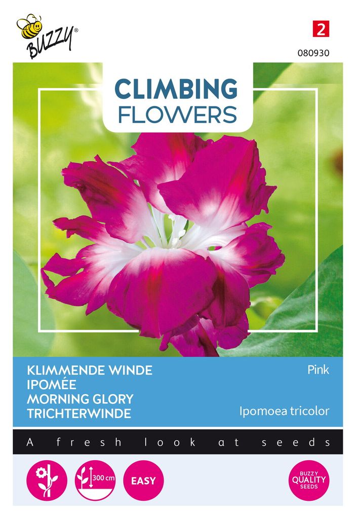 Buzzy Climbing Flowers Ipomoea Dubbel Pink Samen - Ca. 2 gr Produktbild 