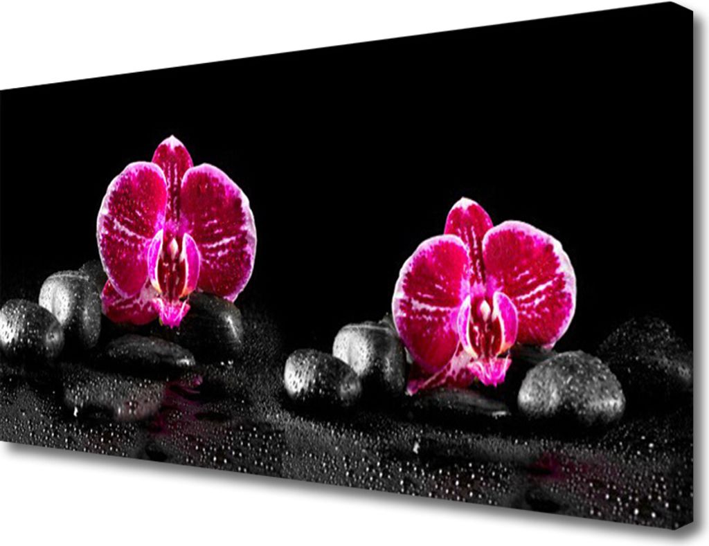 Tulup Leinwand-Bilder 100x50 Wandbild Canvas Kunstdruck Blumen Steine Pflanzen