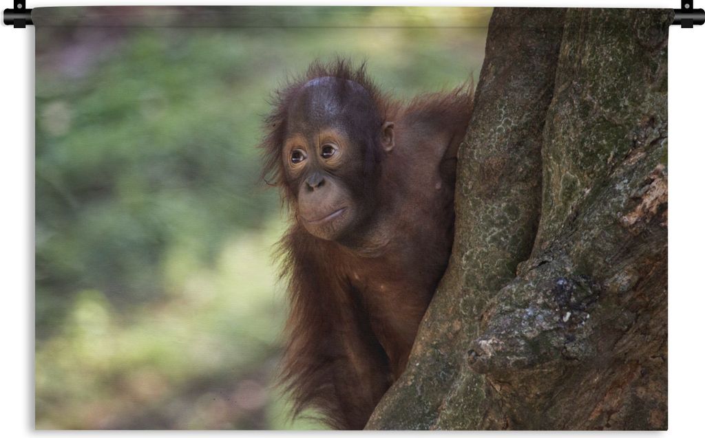 MuchoWow Wandteppich Wandbehang Baby - Orang-Utan - Baum 60x40 cm Tapisserie Dekoration Wandtuch - Wanddekorationen