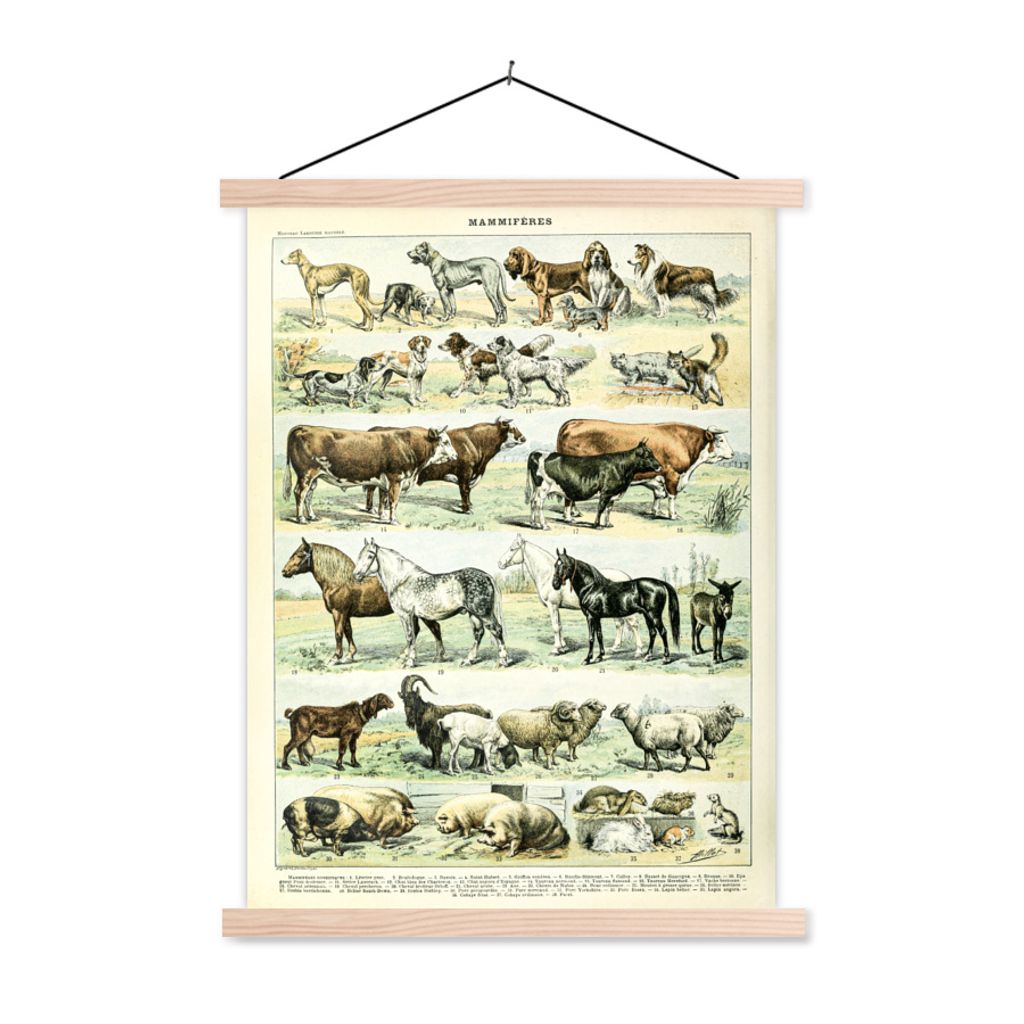 MuchoWow Textilposter Tiere - Pferde - Illustration - Vintage - Adolphe Millot 40x53 cm mit holzfarbenen Rahmen - Schlafzimmer