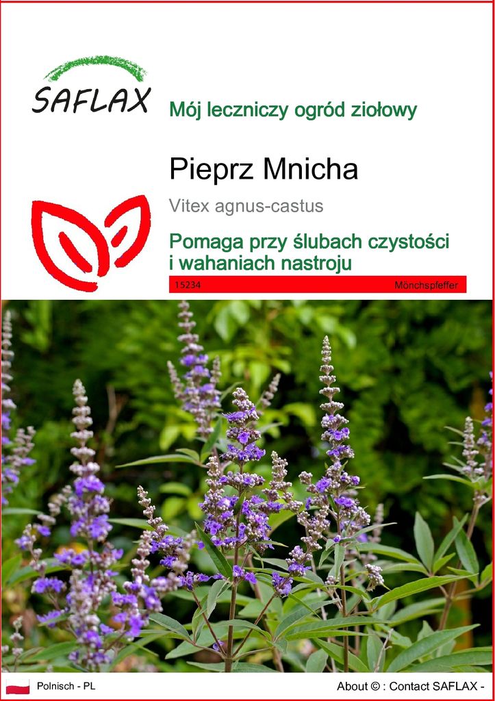 SAFLAX - Pieprz Mnicha - 30 Nasiona - Vitex agnus-castus Zdjęcie produktu 