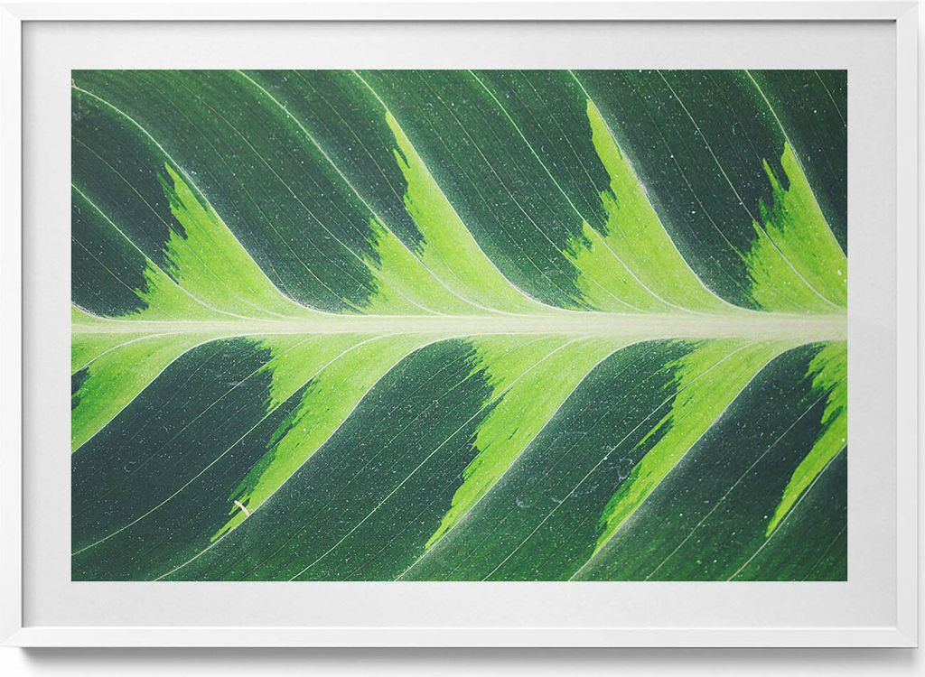 Textur und Adern eines Blattes– Wandbild mit Rahmen – Gerahmtes Bild – Wanddekoration – 100x70 cm – Weiß Rahmen
