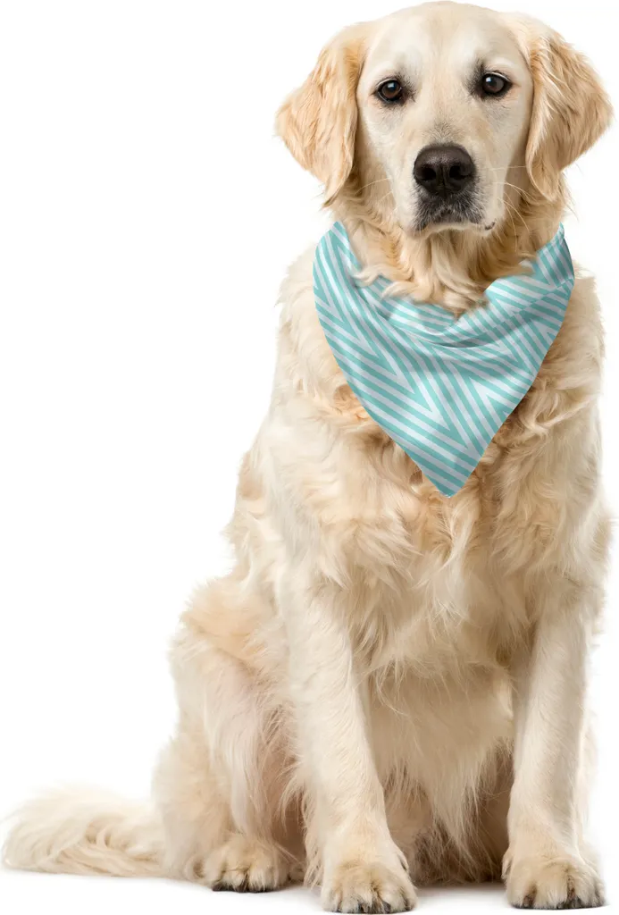 OFFERTA Bandana Cane ABAKUHAUS 55x55 cm - Design Geometrico Top