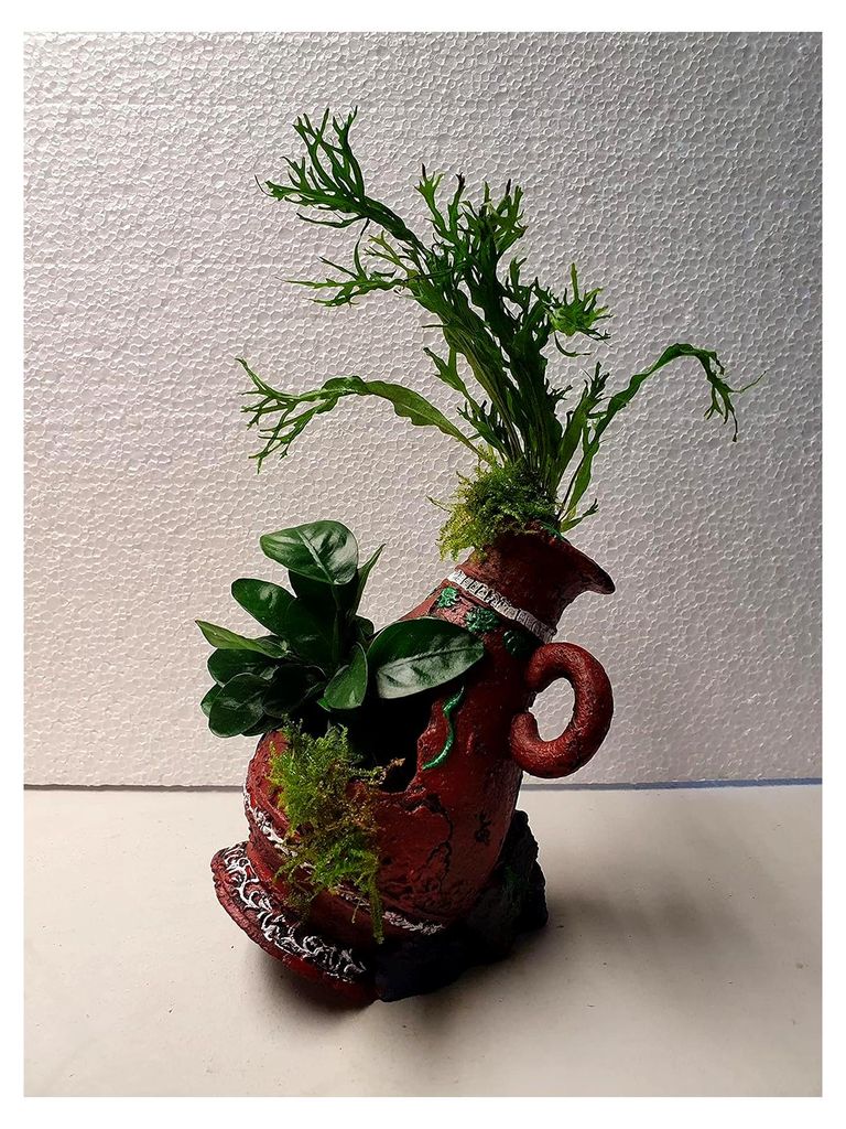 Garnelenbäumchen Polyresin Amphore rot 25x15 cm bepflanzt mit echten Wasserpflanzen von Tropica Anubia,Moos und Farn Aquarium Deko
