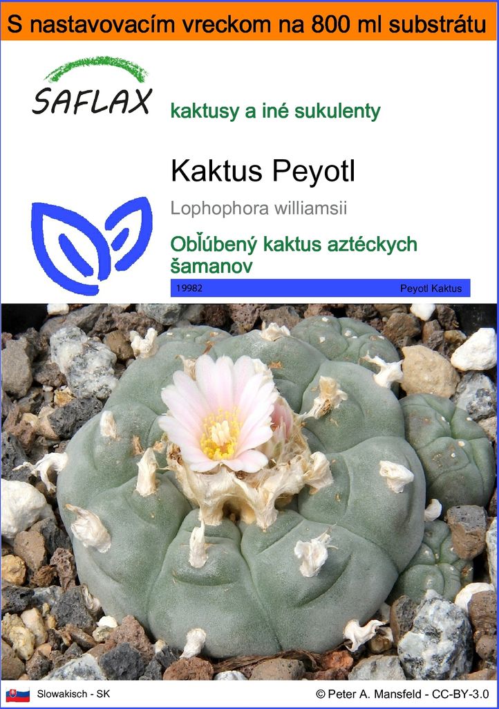 SAFLAX Garden in the bag - Kaktus Peyotl - Lophophora Obrázok produktu 