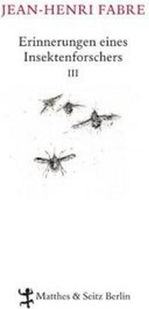 Erinnerungen eines Insektenforschers 03
