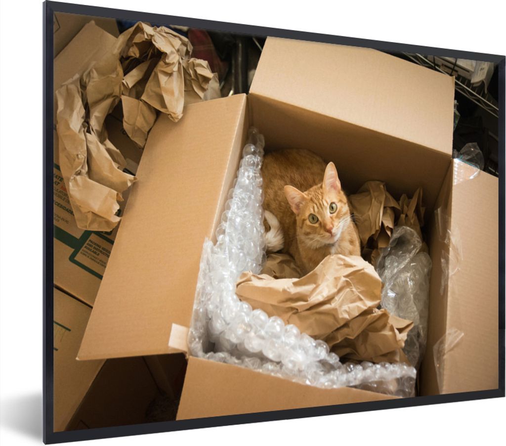 MuchoWow MuchoWow Gerahmtes Poster Katze - Box - Rot 80x60 cm - Poster mit zchwarzem Bilderrahmen - Schwarzem - Mit Gestell