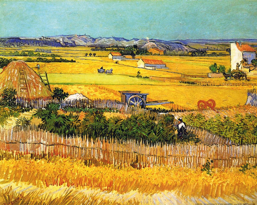Vincent Van Gogh Kunstdruck Bild - Die Ebene La Crau Bei Arles Mit Montmajour Im Hintergrund, 1888 (40 x 50 cm)