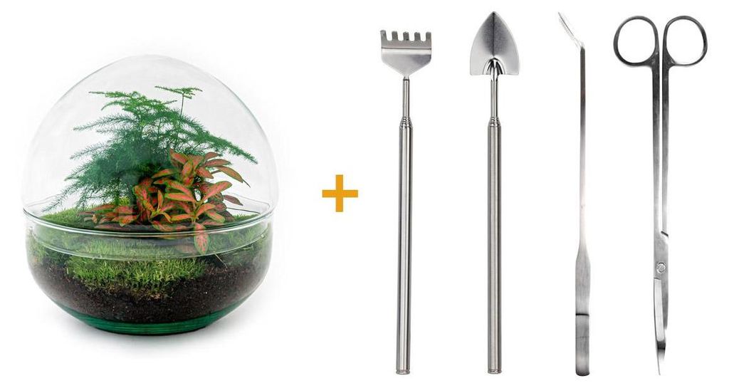 Flaschengarten Dome Glaskugel DIY-Pflanzenterrarium 20 cm Produktbild 